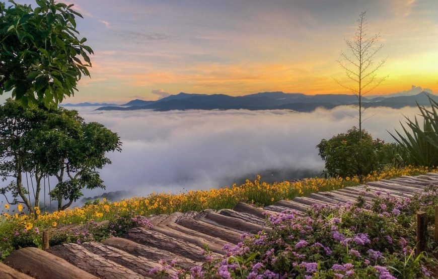 Da Lat Countryside 1 Day