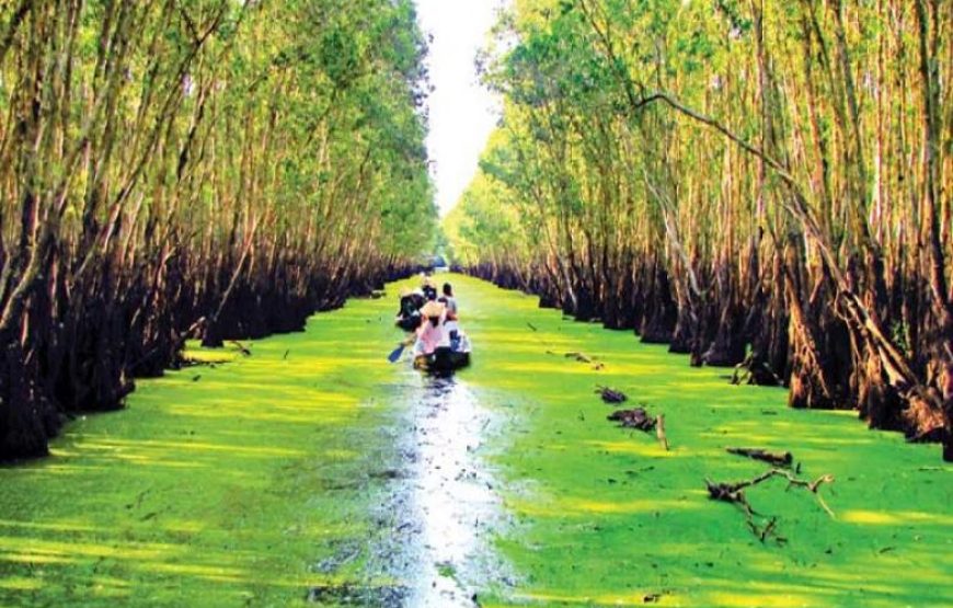 Mekong Delta – 3 days – Mekong Eyes Cruise