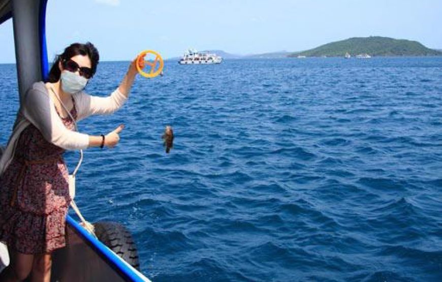 Sunset And Night  Squid Fishing