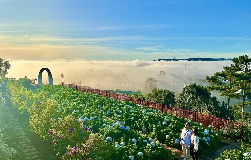 Da Lat Tea And Coffe 1 Day Trip