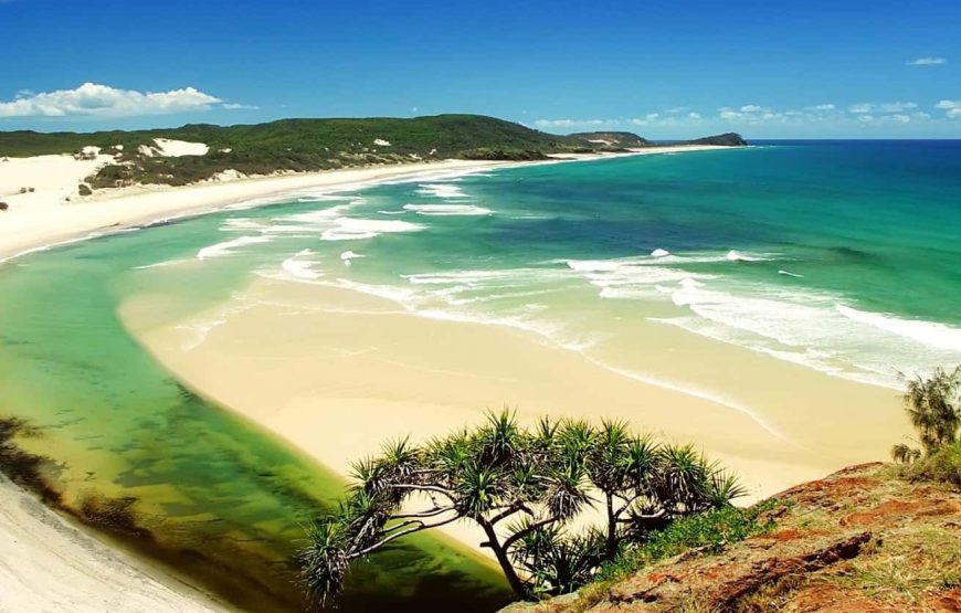 Jeep & Kayaking – Discovery North Island