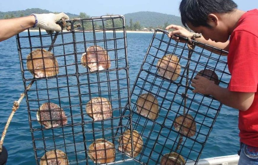 May Rut Islet  – Mong Tay Islet  – Gam Ghi Islet/ Buom Islet – Sunset   Santano